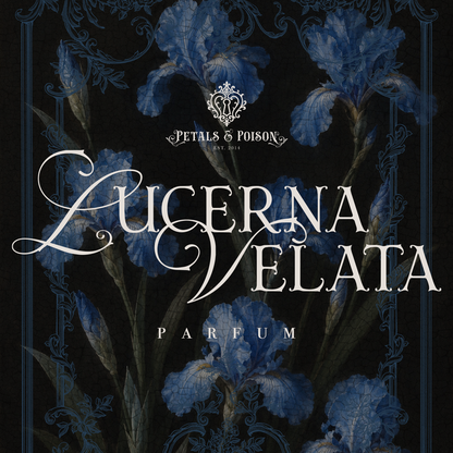 2ML SAMPLE: LUCERNA VELATA - BLACK LABEL