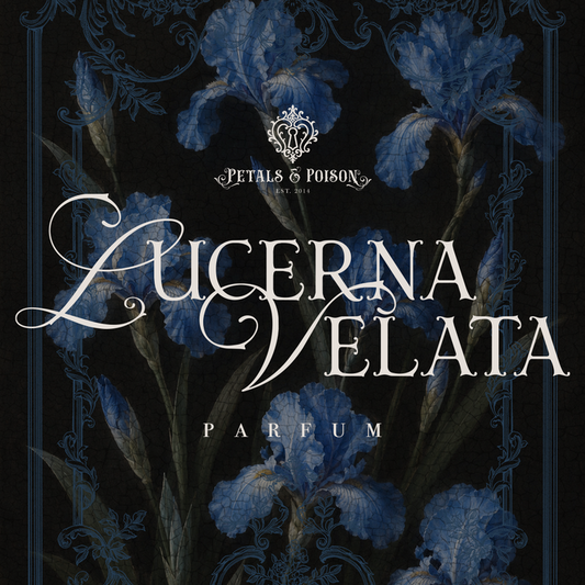 2ML SAMPLE: LUCERNA VELATA - BLACK LABEL