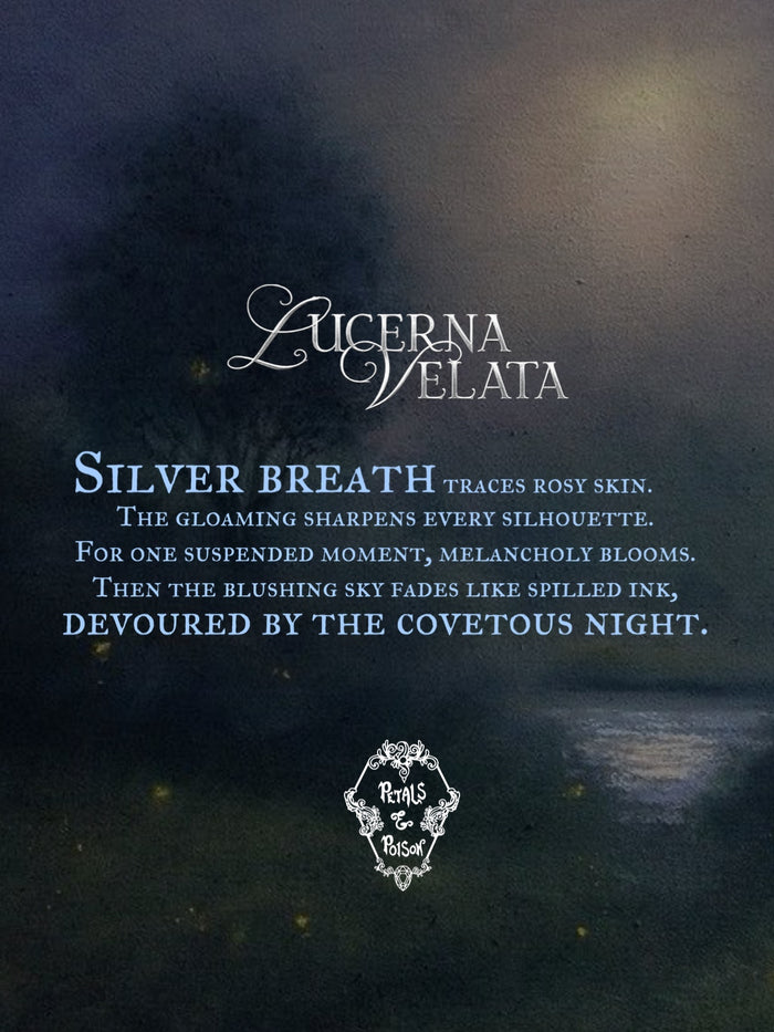 2ML SAMPLE: LUCERNA VELATA - BLACK LABEL