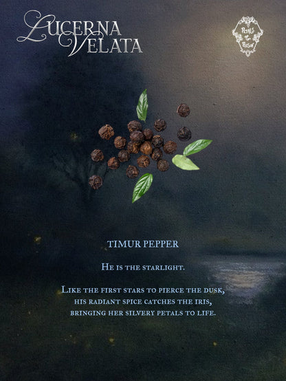 2ML SAMPLE: LUCERNA VELATA - BLACK LABEL