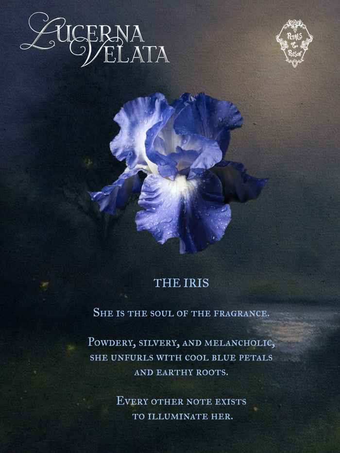 2ML SAMPLE: LUCERNA VELATA - BLACK LABEL