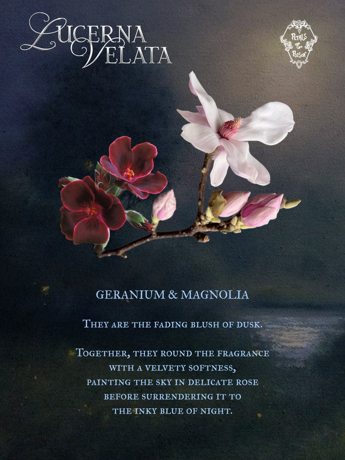 2ML SAMPLE: LUCERNA VELATA - BLACK LABEL