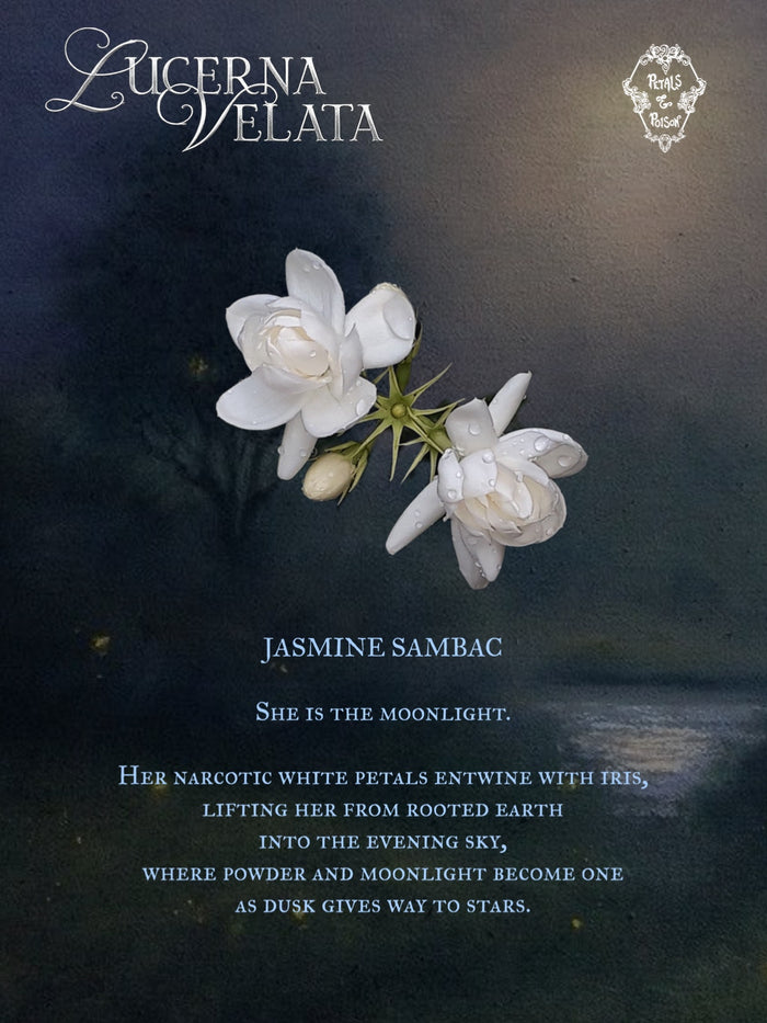 2ML SAMPLE: LUCERNA VELATA - BLACK LABEL