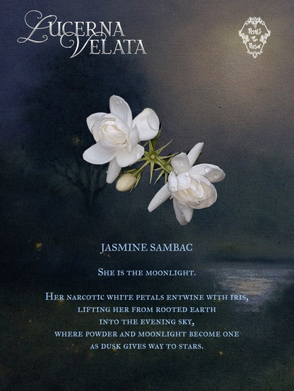 2ML SAMPLE: LUCERNA VELATA - BLACK LABEL