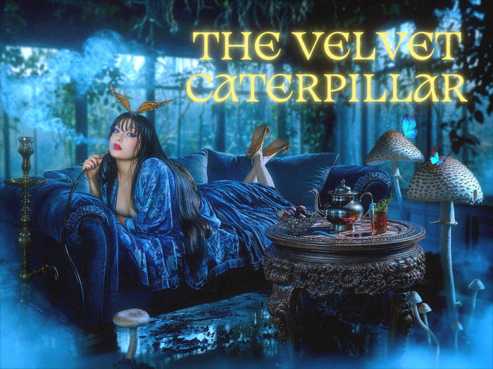 "The Velvet Caterpillar" Roll On Fragrance