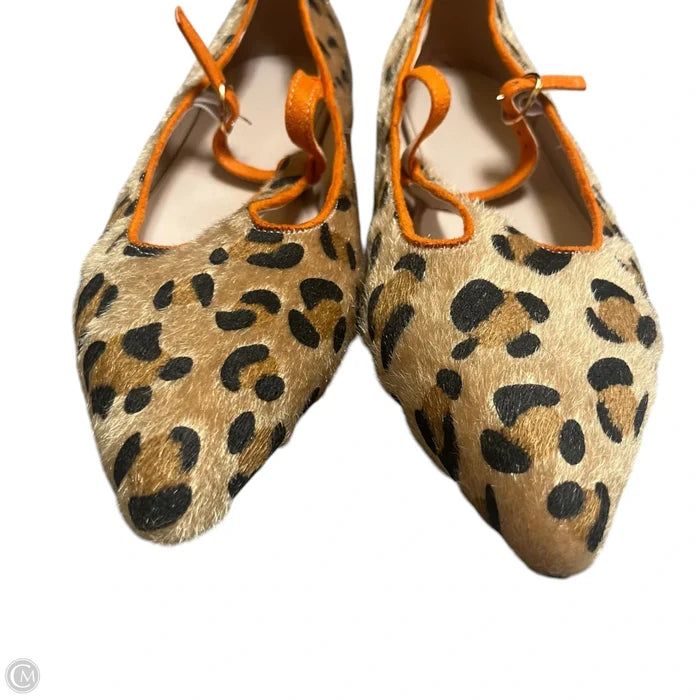 Shoes Flats In Leopard Print, Size: 11.5